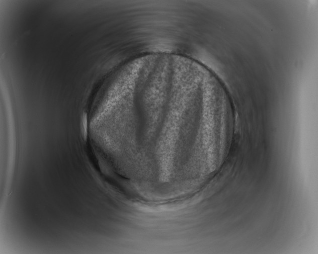 X0000089690013200707121344