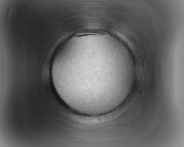 X0000089690015200707121344