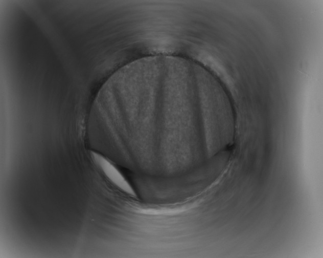 X0000089690017200707121344