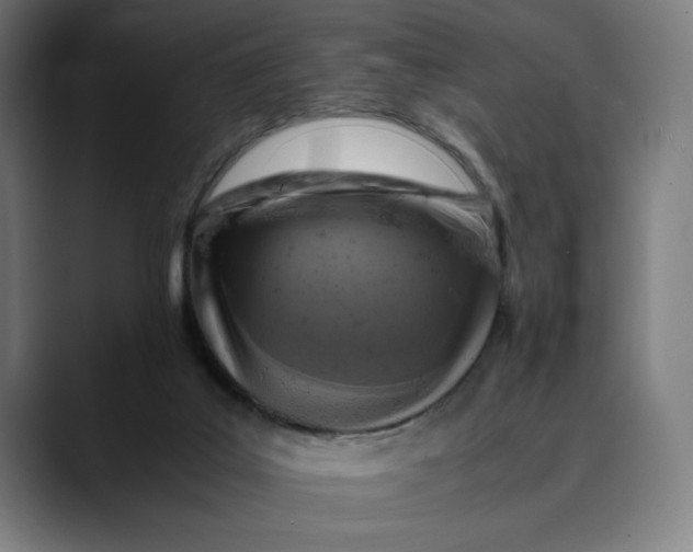 X0000089690019200707121344