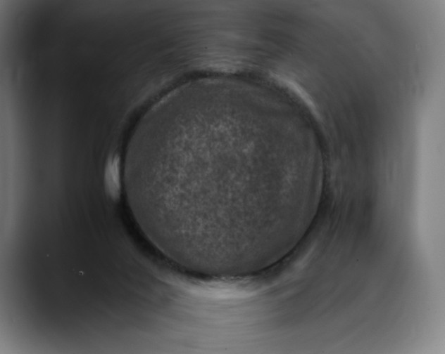 X0000089690020200707121344