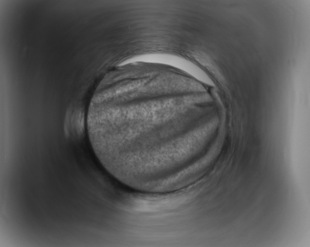 X0000089690021200707121344