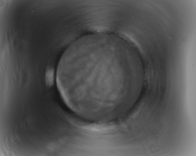 X0000089690024200707121344