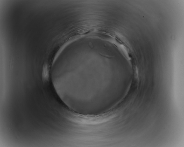 X0000089690026200707121344