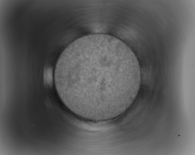 X0000089690028200707121344