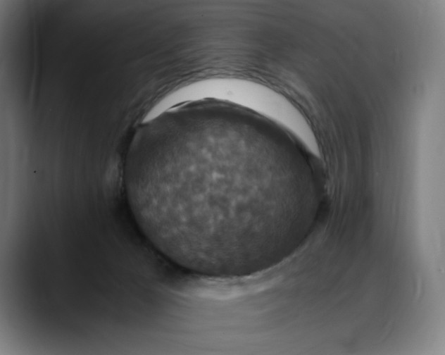 X0000089690029200707121344