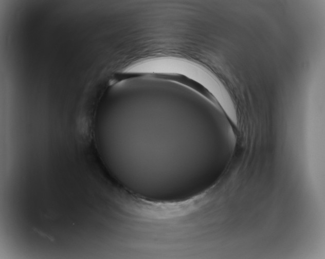 X0000089690031200707121344