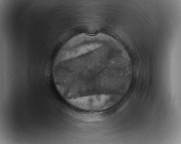 X0000089690032200707121344