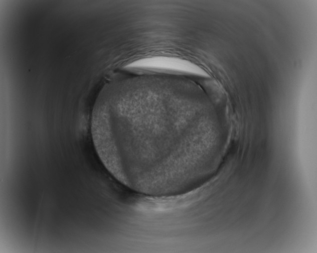 X0000089690033200707121344