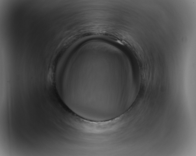 X0000089690035200707121344