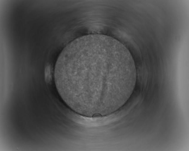 X0000089690038200707121344