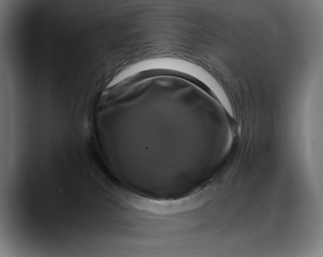 X0000089690039200707121344