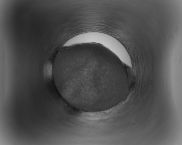 X0000089690041200707121344