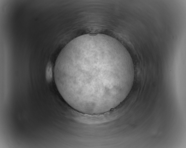 X0000089690042200707121344