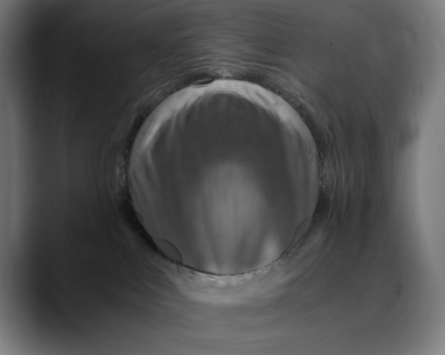 X0000089690043200707121344