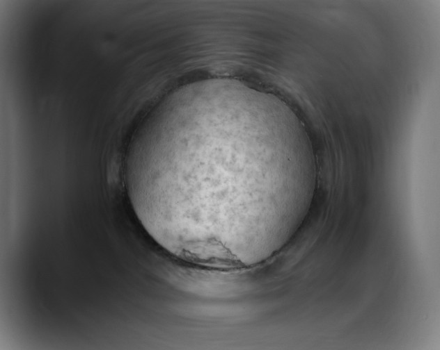 X0000089690044200707121344