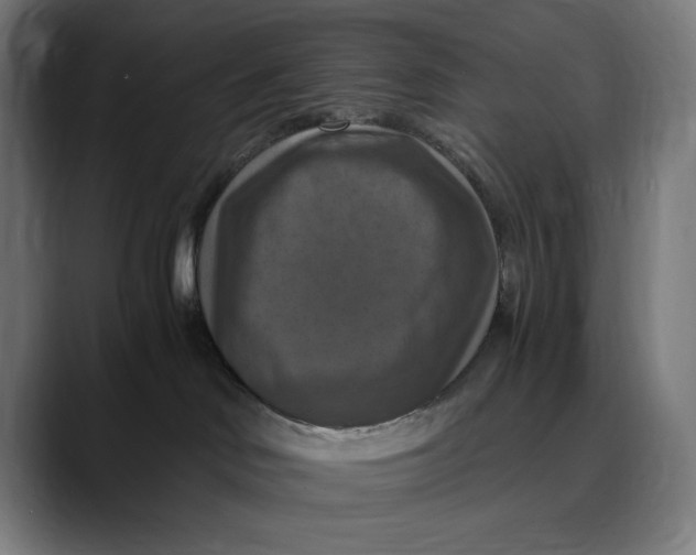 X0000089690046200707121344