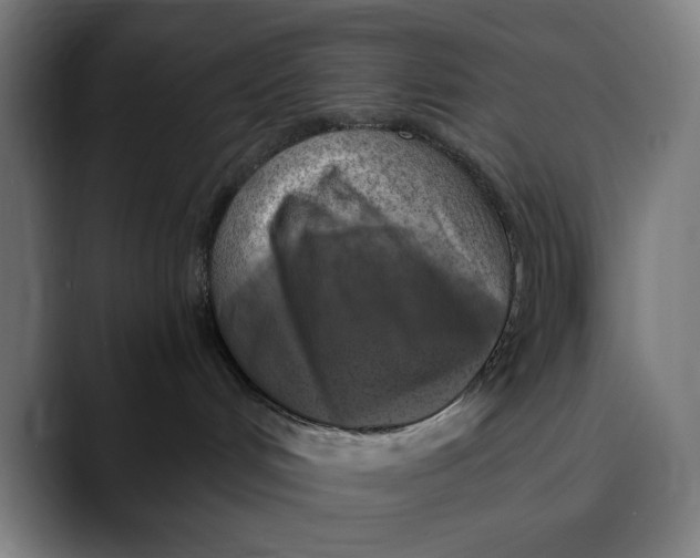 X0000089690048200707121344