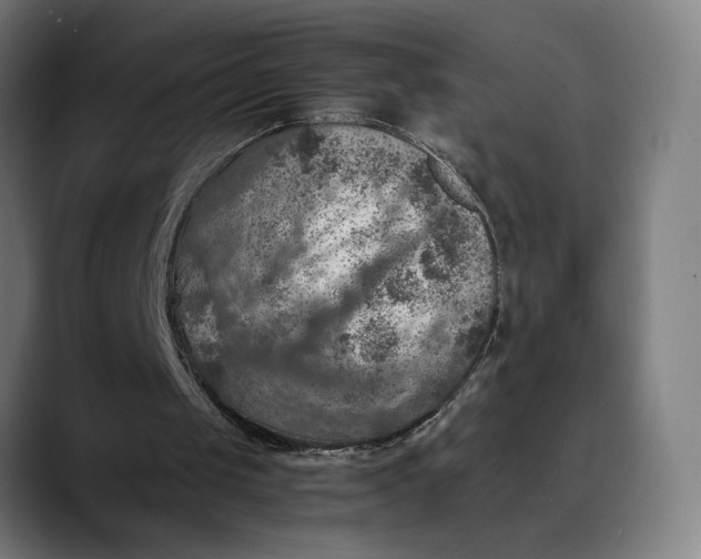 X0000089690049200707121343