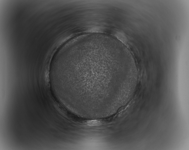 X0000089690050200707121343