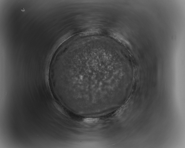 X0000089690051200707121343