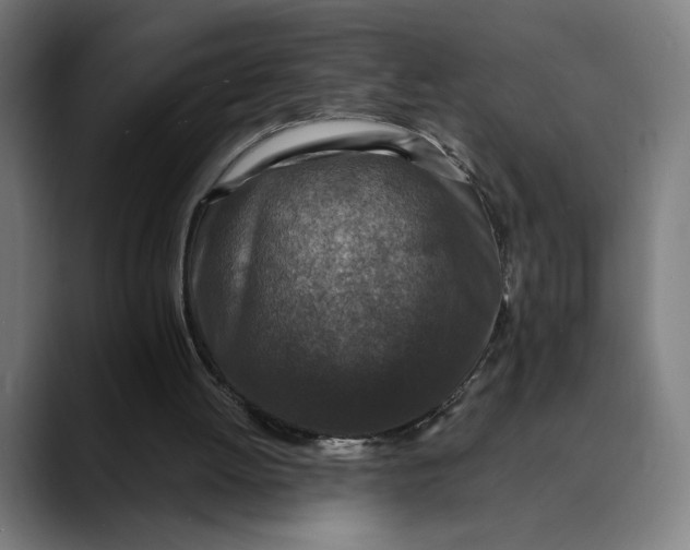 X0000089690052200707121343