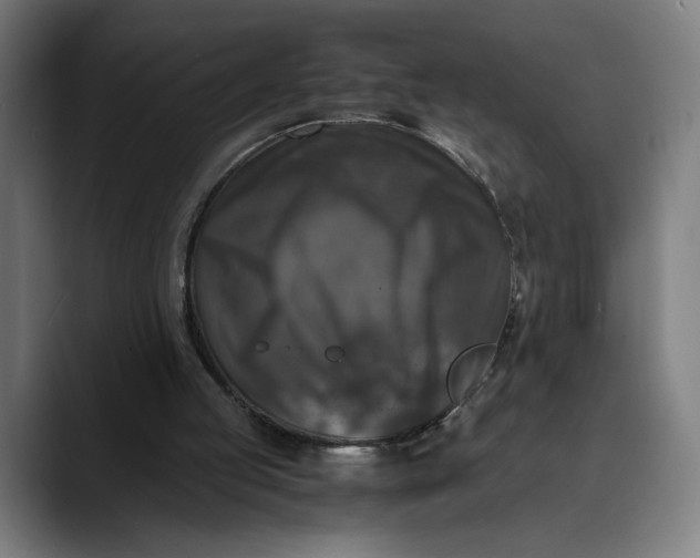 X0000089690053200707121343