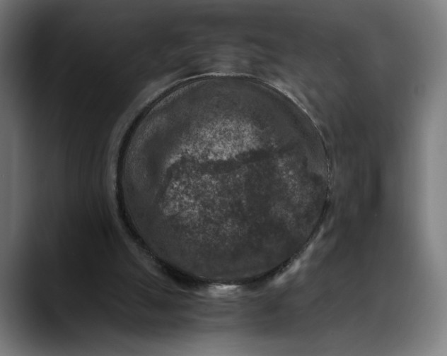 X0000089690055200707121343