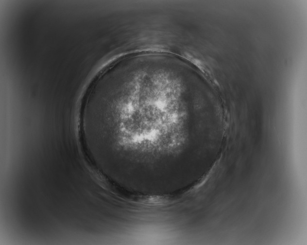 X0000089690056200707121343