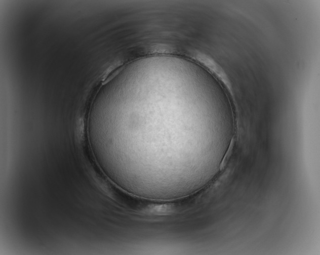 X0000089690057200707121343