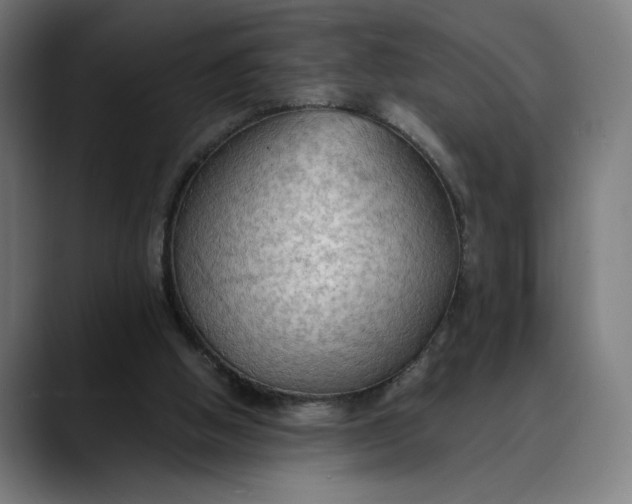 X0000089690058200707121343