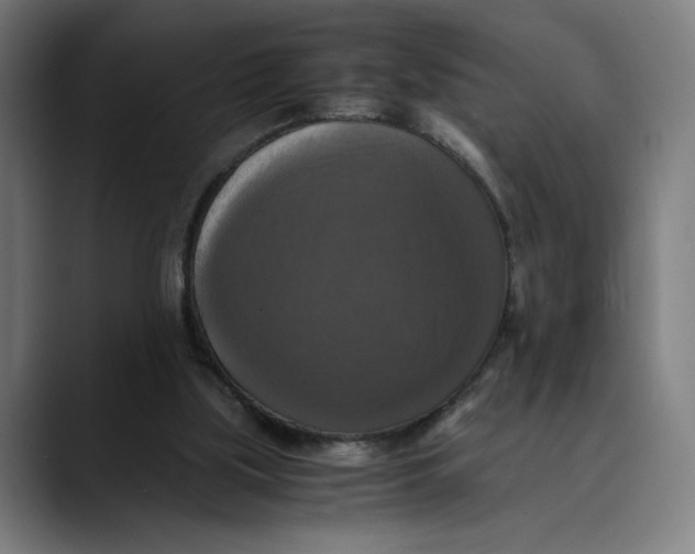 X0000089690059200707121343