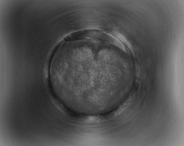 X0000089690060200707121343