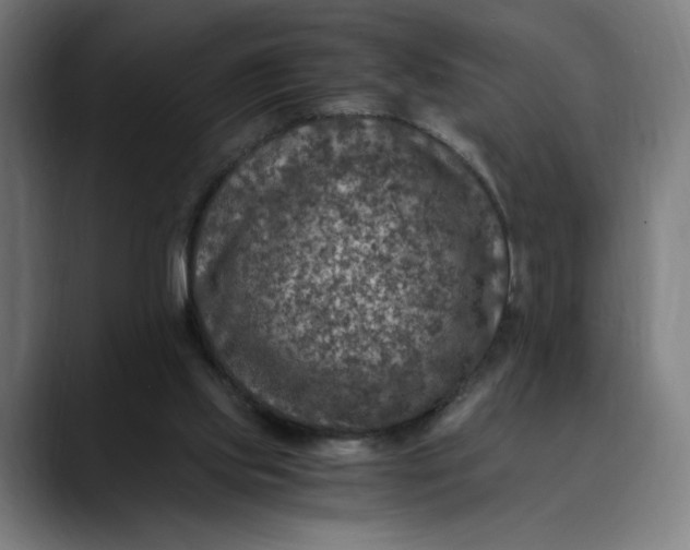 X0000089690061200707121343