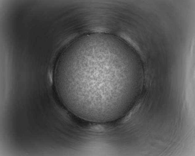 X0000089690062200707121343