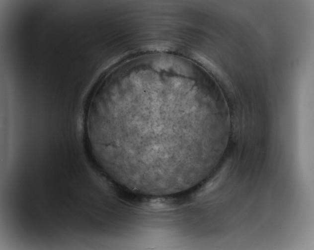 X0000089690064200707121343