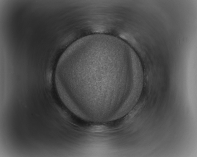 X0000089690066200707121343