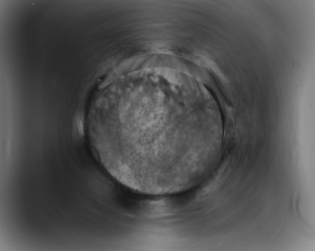 X0000089690068200707121343