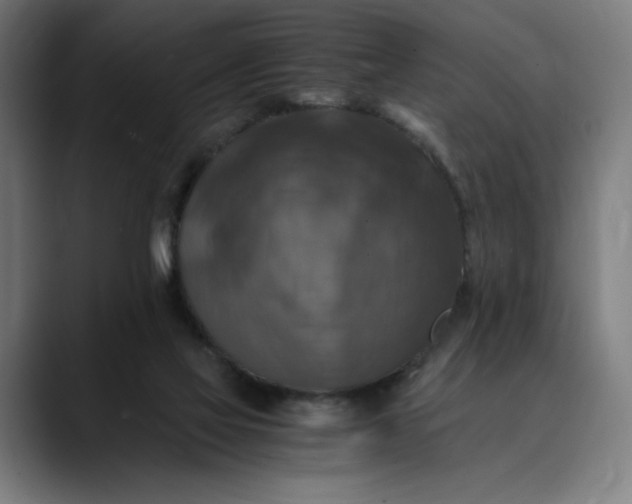 X0000089690069200707121343