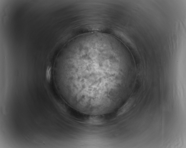 X0000089690070200707121343