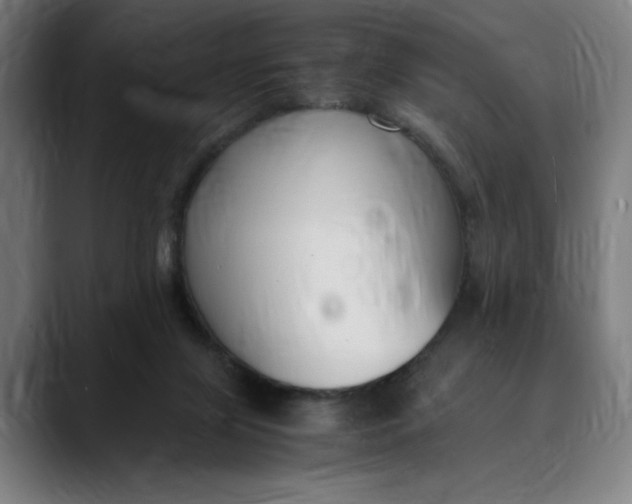 X0000089690071200707121343