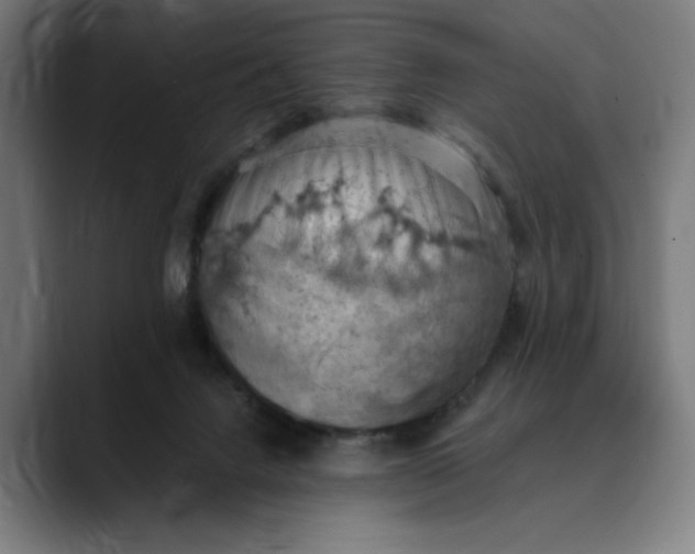 X0000089690072200707121343