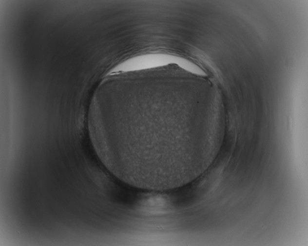 X0000089690073200707121343