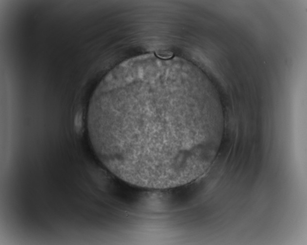 X0000089690074200707121343