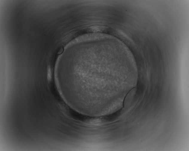 X0000089690075200707121343