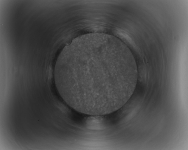 X0000089690077200707121343