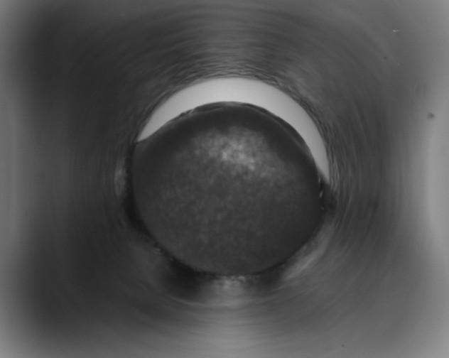 X0000089690080200707121344