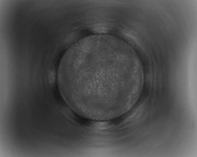 X0000089690081200707121344