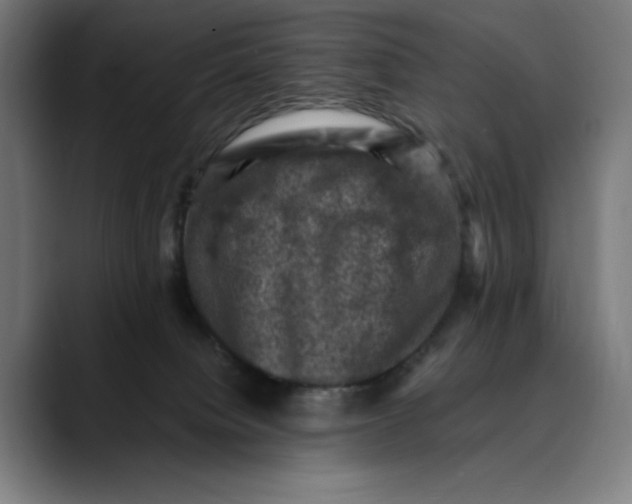 X0000089690084200707121344