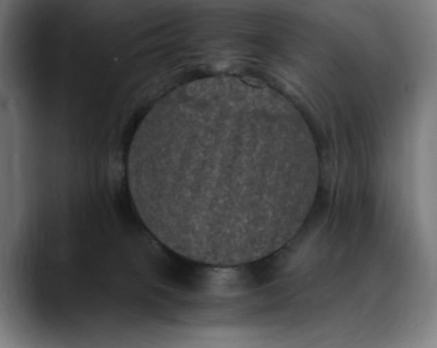 X0000089690085200707121344